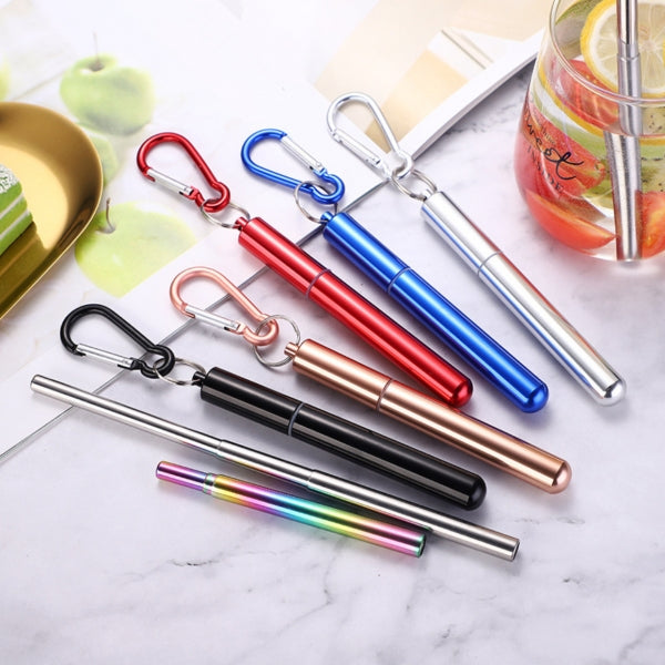 Custom Logo 304 Stainless Steel Telescopic Straw Set | Premium Corporate Gifts and Promotional Gifts