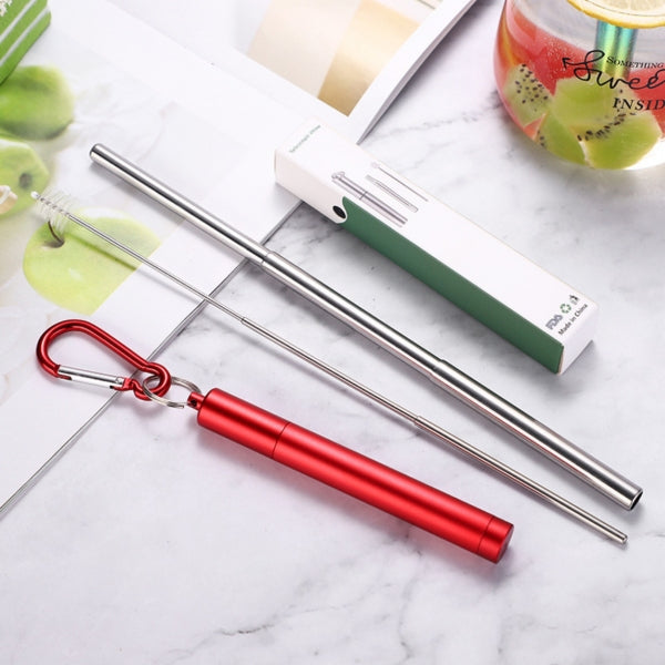Custom Logo 304 Stainless Steel Telescopic Straw Set | Premium Corporate Gifts and Promotional Gifts