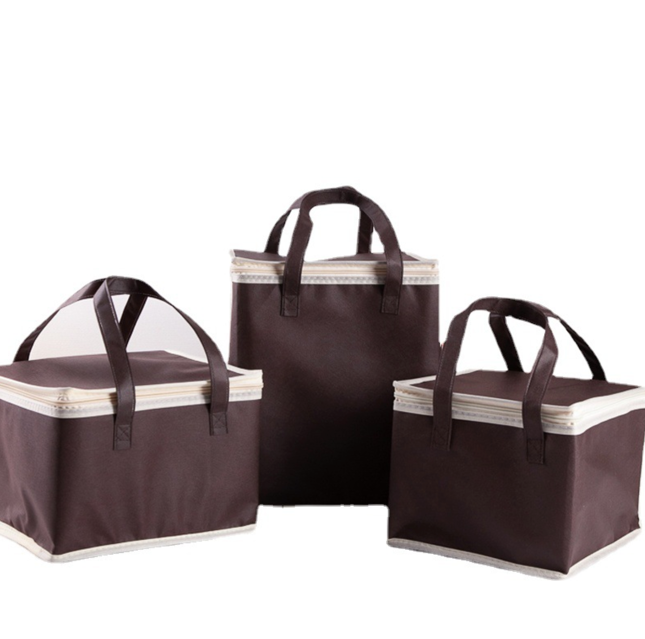 Custom Logo Cold and Thermal Insulation Non-Woven Shopping Bag | Premium Corporate Gifts and Promotional Gifts