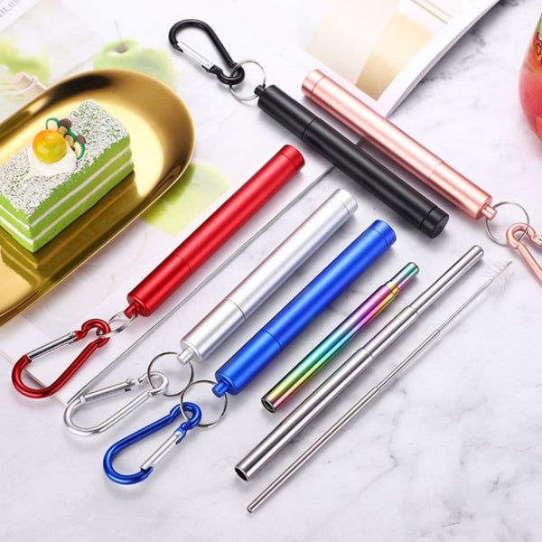 Custom Logo 304 Stainless Steel Telescopic Straw Set | Premium Corporate Gifts and Promotional Gifts