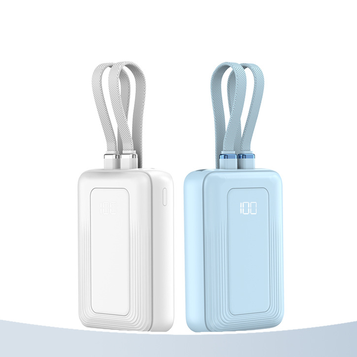 Custom Logo Dual-wire portable power bank | Premium Corporate Gifts and Promotional Gifts
